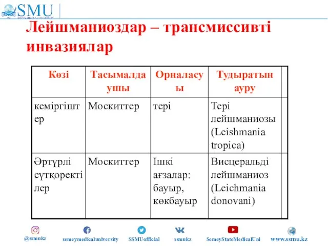 Лейшманиоздар – трансмиссивті инвазиялар @ssmukz semeymedicaluniversity SSMUofficial ssmukz SemeyStateMedicalUni www.ssmu.kz