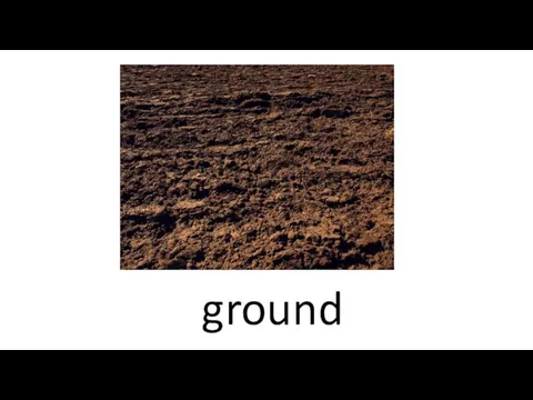 ground