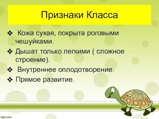 Признаки Класса Кожа сухая, покрыта роговыми чешуйками. Дышат только легкими ( сложное