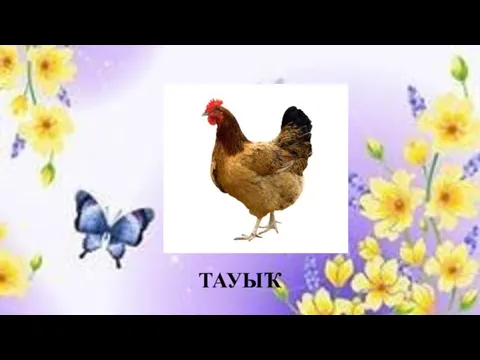 ТАУЫҠ