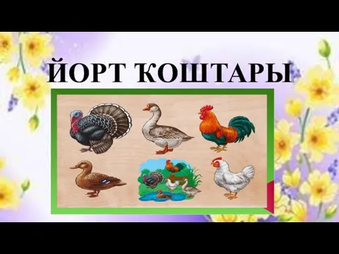 ЙОРТ ҠОШТАРЫ