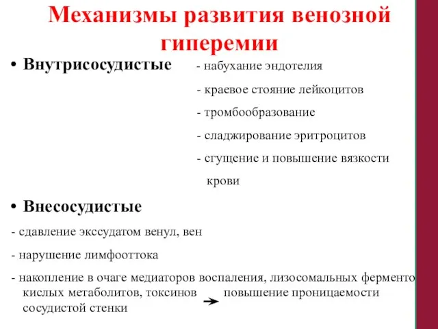 Механизмы развития венозной гиперемии Внутрисосудистые - набухание эндотелия - краевое стояние лейкоцитов