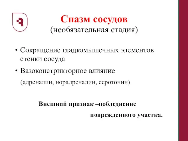 Спазм сосудов (необязательная стадия) Сокращение гладкомышечных элементов стенки сосуда Вазоконстрикторное влияние (адреналин,