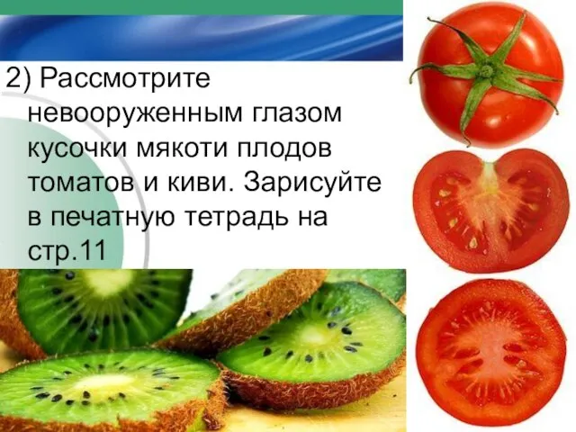 2) Рассмотрите невооруженным глазом кусочки мякоти плодов томатов и киви. Зарисуйте в печатную тетрадь на стр.11