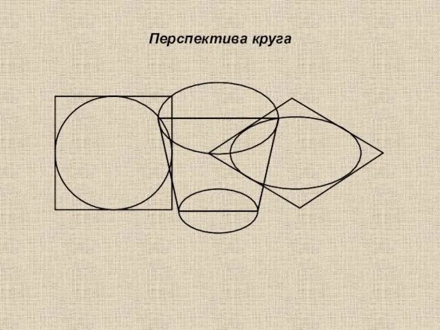 Перспектива круга