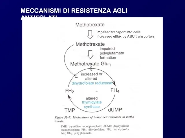 MECCANISMI DI RESISTENZA AGLI ANTIFOLATI