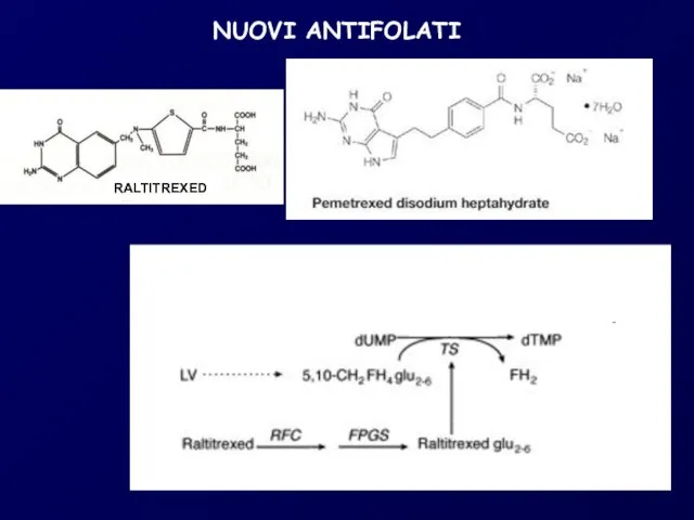 RALTITREXED NUOVI ANTIFOLATI