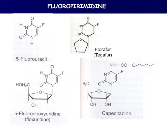 FLUOROPIRIMIDINE