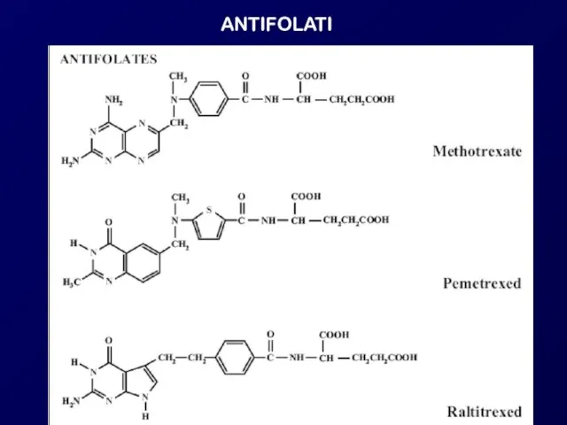 ANTIFOLATI