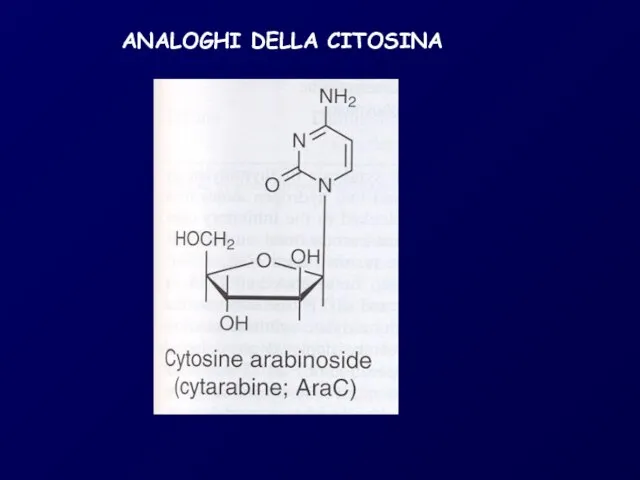 ANALOGHI DELLA CITOSINA