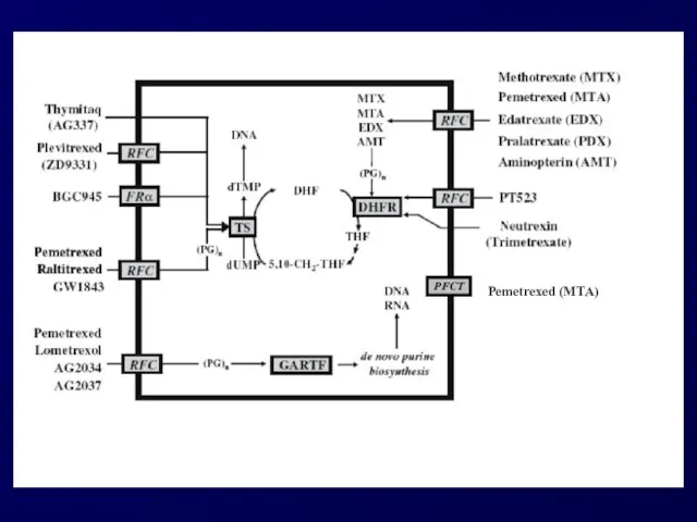 PFCT Pemetrexed (MTA)