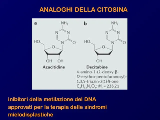 ANALOGHI DELLA CITOSINA inibitori della metilazione del DNA approvati per la terapia delle sindromi mielodisplastiche