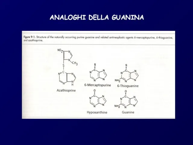 ANALOGHI DELLA GUANINA