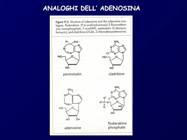 ANALOGHI DELL’ ADENOSINA