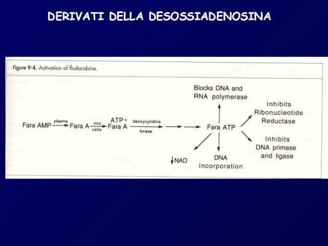 DERIVATI DELLA DESOSSIADENOSINA +