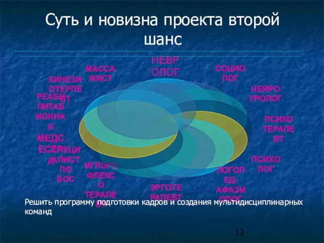 Решить программу подготовки кадров и создания мультидисциплинарных команд Суть и новизна проекта второй шанс