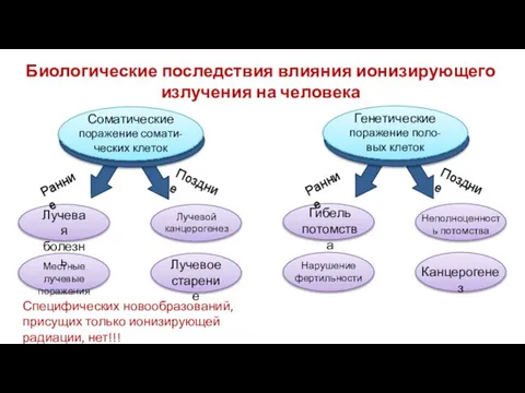 Биологические последствия влияния ионизирующего излучения на человека Ранние Поздние Соматические поражение сомати-ческих