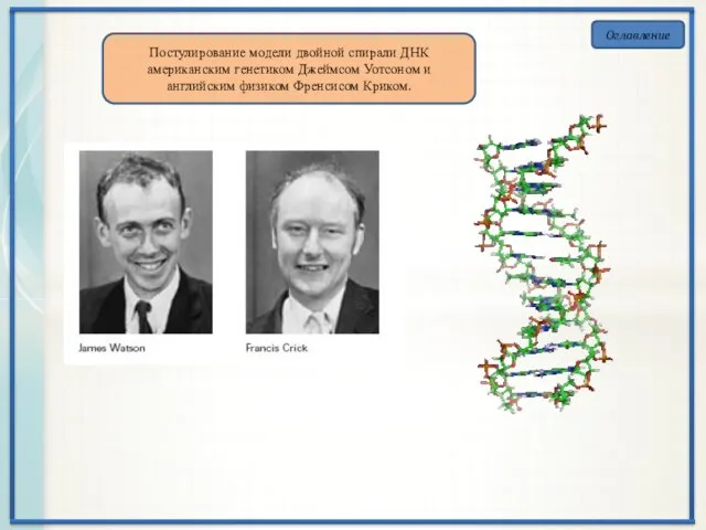 Оглавление Постулирование модели двойной спирали ДНК американским генетиком Джеймсом Уотсоном и английским физиком Френсисом Криком.