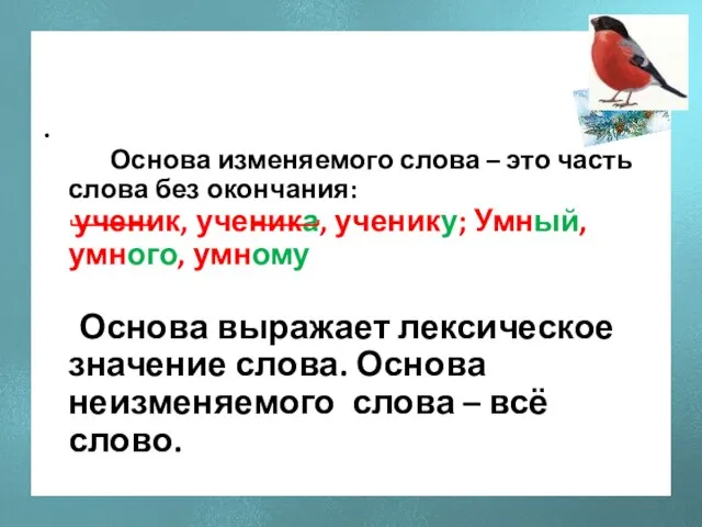 Основа изменяемого слова – это часть слова без окончания: ученик, ученика, ученику;