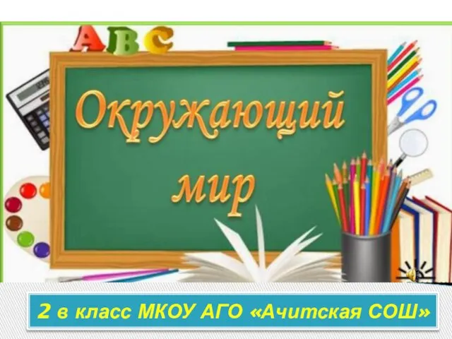 2 в класс МКОУ АГО «Ачитская СОШ»