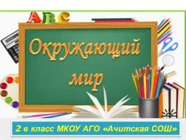 2 в класс МКОУ АГО «Ачитская СОШ»