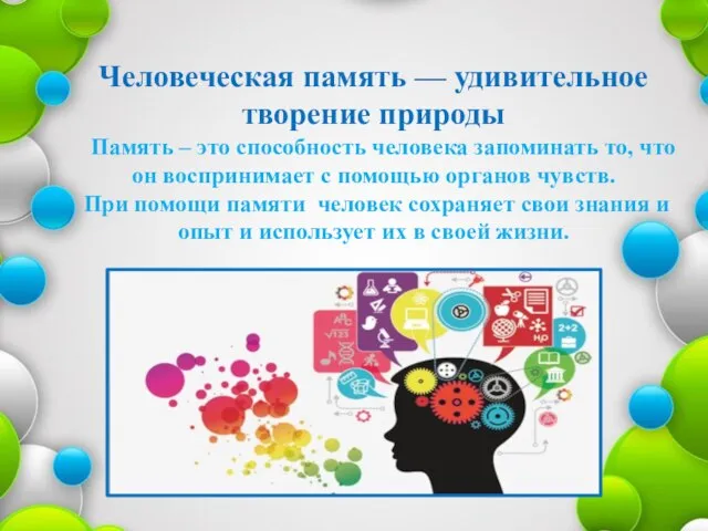 Человеческая память — удивительное творение природы Память – это способность человека запоминать