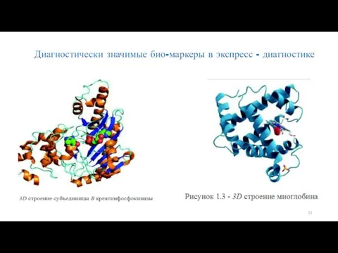 Диагностически значимые био-маркеры в экспресс - диагностике