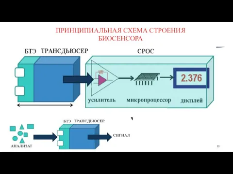 ПРИНЦИПИАЛЬНАЯ СХЕМА СТРОЕНИЯ БИОСЕНСОРА