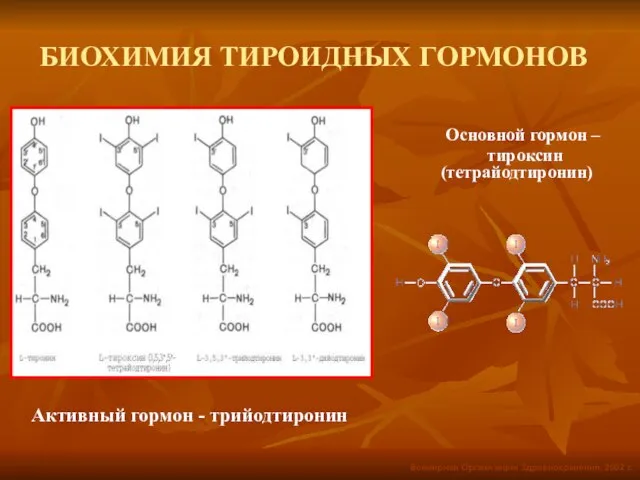 БИОХИМИЯ ТИРОИДНЫХ ГОРМОНОВ Основной гормон – тироксин (тетрайодтиронин) Активный гормон - трийодтиронин