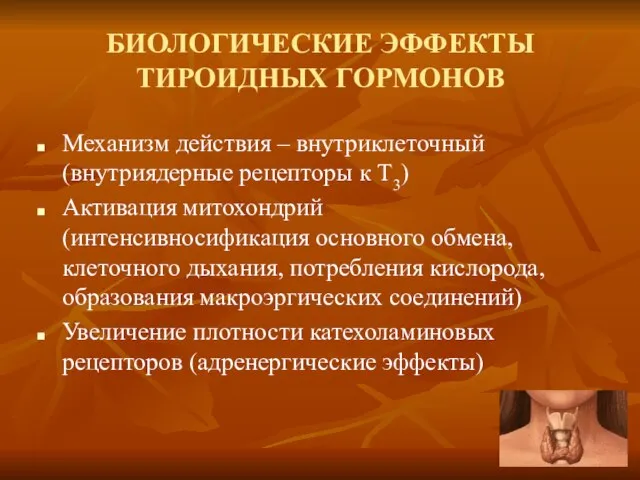 БИОЛОГИЧЕСКИЕ ЭФФЕКТЫ ТИРОИДНЫХ ГОРМОНОВ Механизм действия – внутриклеточный (внутриядерные рецепторы к Т3)