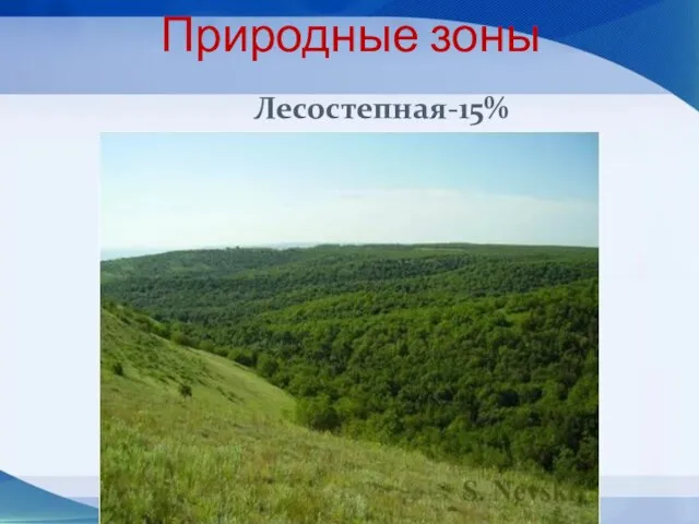 Природные зоны Лесостепная-15%