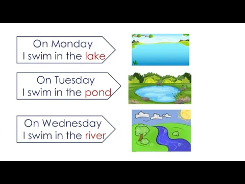 On Monday I swim in the lake On Tuesday I swim in