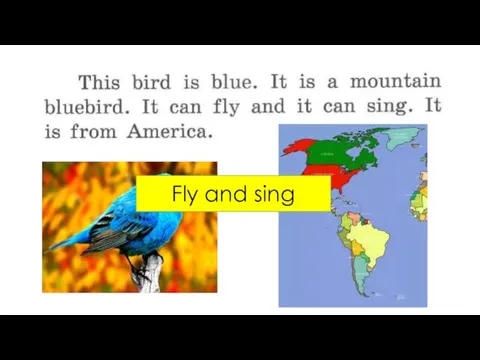 Fly and sing