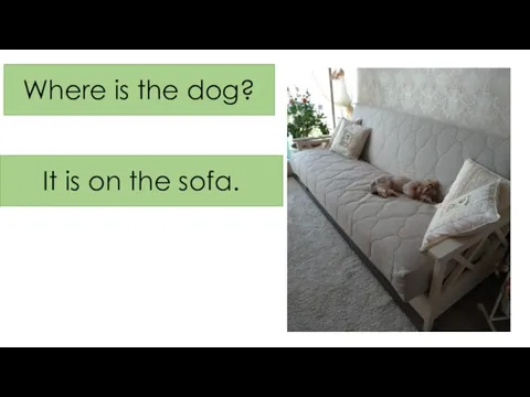 Where is the dog? It is on the sofa.