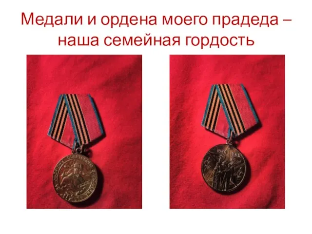 Медали и ордена моего прадеда – наша семейная гордость