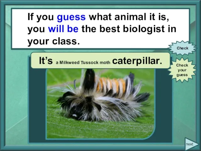 If you (to guess) what animal it is, you (to be) the