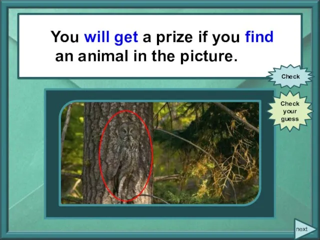 You (to get) a prize if you (to find) an animal in