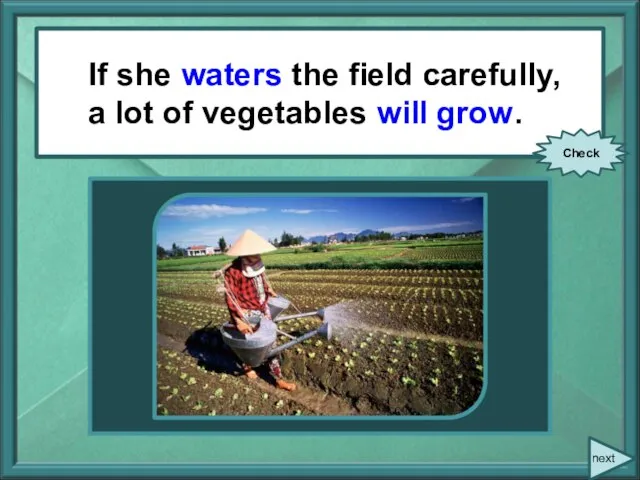 If she (water) the field carefully, a lot vegetables (to grow). If