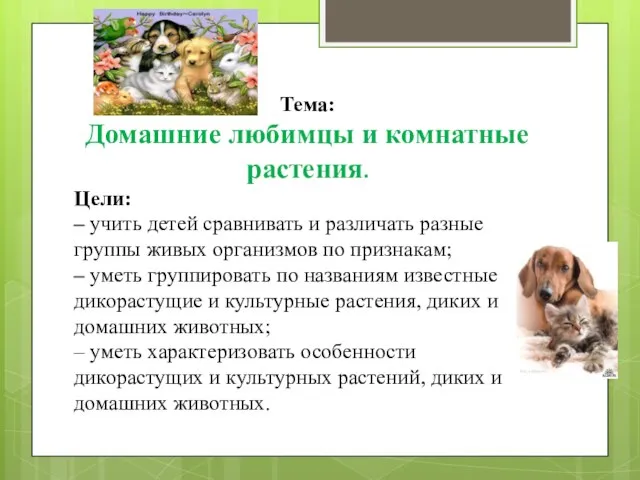 Тема: Домашние любимцы и комнатные растения. Цели: – учить детей сравнивать и