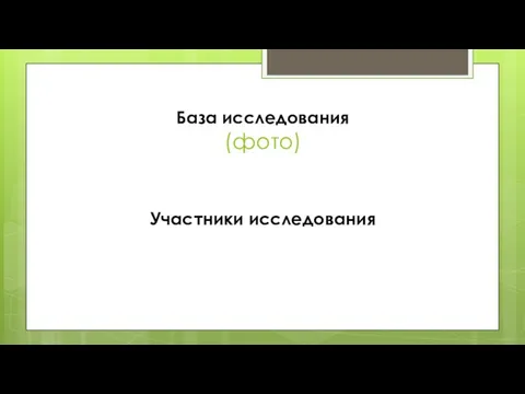 База исследования (фото) Участники исследования