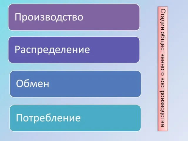 Стадии общественного воспроизводства