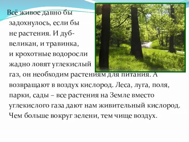 Всё живое давно бы задохнулось, если бы не растения. И дуб- великан,