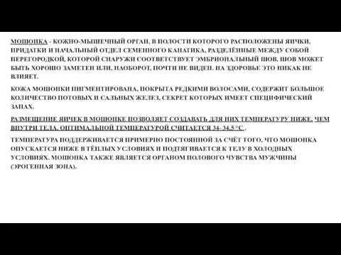 МОШОНКА - КОЖНО-МЫШЕЧНЫЙ ОРГАН, В ПОЛОСТИ КОТОРОГО РАСПОЛОЖЕНЫ ЯИЧКИ, ПРИДАТКИ И НАЧАЛЬНЫЙ