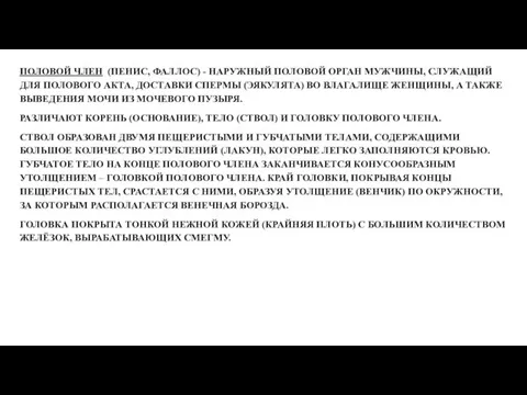 ПОЛОВОЙ ЧЛЕН (ПЕНИС, ФАЛЛОС) - НАРУЖНЫЙ ПОЛОВОЙ ОРГАН МУЖЧИНЫ, СЛУЖАЩИЙ ДЛЯ ПОЛОВОГО