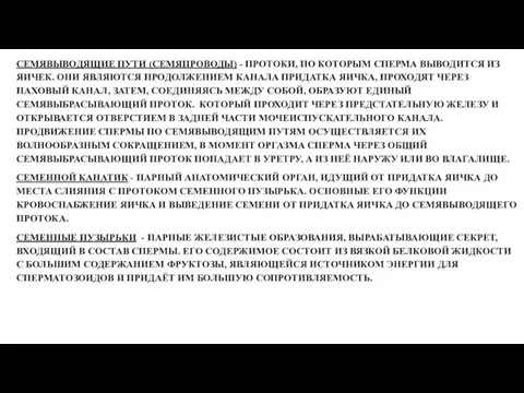 СЕМЯВЫВОДЯЩИЕ ПУТИ (СЕМЯПРОВОДЫ) - ПРОТОКИ, ПО КОТОРЫМ СПЕРМА ВЫВОДИТСЯ ИЗ ЯИЧЕК. ОНИ