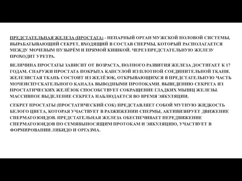 ПРЕДСТАТЕЛЬНАЯ ЖЕЛЕЗА (ПРОСТАТА) - НЕПАРНЫЙ ОРГАН МУЖСКОЙ ПОЛОВОЙ СИСТЕМЫ, ВЫРАБАТЫВАЮЩИЙ СЕКРЕТ, ВХОДЯЩИЙ