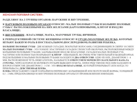 ЖЕНСКАЯ ПОЛОВАЯ СИСТЕМА - РАЗДЕЛЯЮТ НА 2 ГРУППЫ ОРГАНОВ: НАРУЖНИЕ И ВНУТРЕННИЕ.