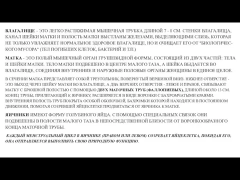 ВЛАГАЛИЩЕ - ЭТО ЛЕГКО РАСТЯЖИМАЯ МЫШЕЧНАЯ ТРУБКА ДЛИНОЙ 7 - 8 СМ.