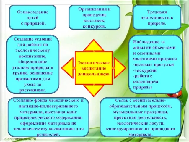 Экологическое воспитание дошкольников Ознакомление детей с природой. Трудовая деятельность в природе. Организация