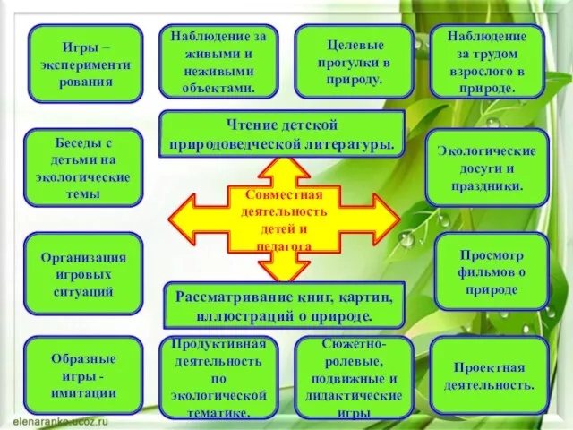 Совместная деятельность детей и педагога Чтение детской природоведческой литературы. Рассматривание книг, картин,